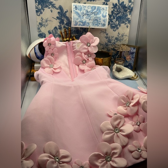 🆕 BRONX & BANCO 🧿 NWOT Estelle Floral Mini Dress, Blush Pink - Sz M US 6 - Picture 13 of 17